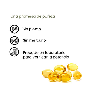 Ultra Omega 3 - Apoyo Para Tu Corazón, Articulaciones Y Cerebro